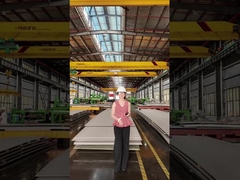 どちらのプレートが良いのか,チタンかステンレス鋼か.